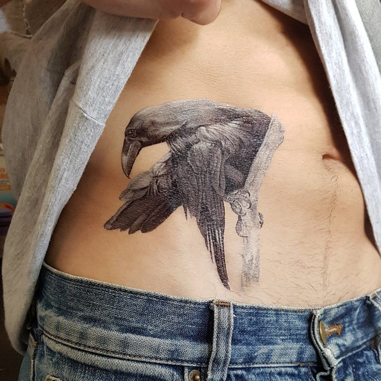 Tatouage temporaire hyperréaliste Black Raven - White Touch de ArtWear Tattoo Animaux sur le bras d'un homme et jambe d'une femme