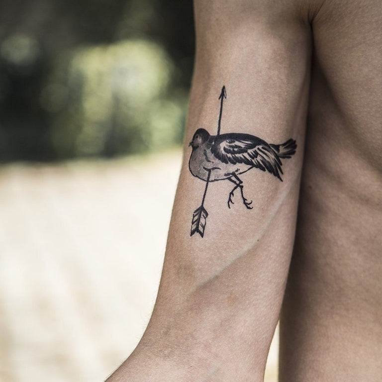Tatouage temporaire hyperréaliste Dead Bird Pack de ArtWear Tattoo Animaux sur le bras d'un homme et jambe d'une femme