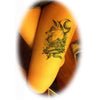 Tatouage temporaire hyperréaliste Foxy's Night de ArtWear Tattoo Animaux sur le bras d'un homme et jambe d'une femme