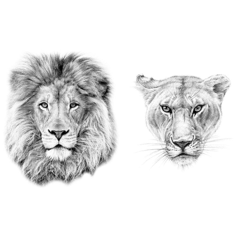 Tatouage temporaire hyperréaliste Lion Couple de ArtWear Tattoo Animaux sur le bras d'un homme et jambe d'une femme