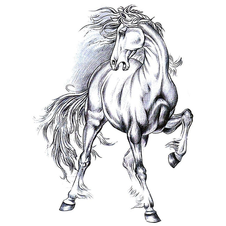 Tatouage temporaire hyperréaliste Wild Horse de ArtWear Tattoo Animaux sur le bras d'un homme et jambe d'une femme