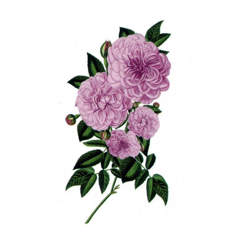 Tatouage temporaire hyperréaliste Pink Flowers de ArtWear Tattoo Fleurs sur le bras d'un homme et jambe d'une femme