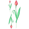 Tatouage temporaire hyperréaliste Tulip - Pack de ArtWear Tattoo Fleurs sur le bras d'un homme et jambe d'une femme